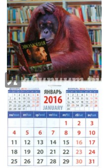 Календарь магнитный на 2016. Год обезьяны. Орангутанг с книгой по теории эволюции (20635).
