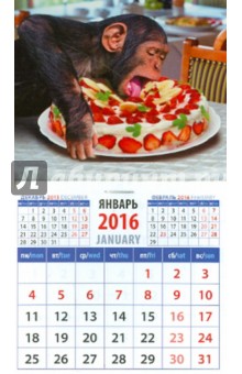 Календарь на магните 2016. Год обезьяны. Шимпанзе с тортом (20637).
