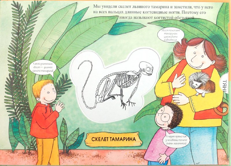 Иллюстрация 3 из 9 для Животные тропического леса. Магические скелеты | Лабиринт - книги. Источник: Лабиринт