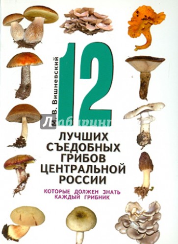 12 лучших съедобных грибов Центральной России, которые должен знать каждый грибник