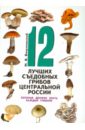 12 лучших съедобных грибов Центральной России, которые должен знать каждый грибник - Вишневский Михаил Владимирович