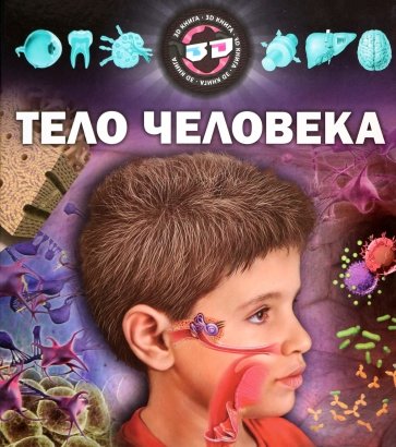 Тело человека