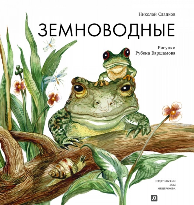 Иллюстрация 8 из 74 для Земноводные - Николай Сладков | Лабиринт - книги. Источник: Лабиринт