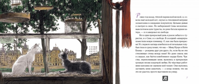 Иллюстрация 1 из 64 для Нуаро и Бланш - Антон Соя | Лабиринт - книги. Источник: Лабиринт