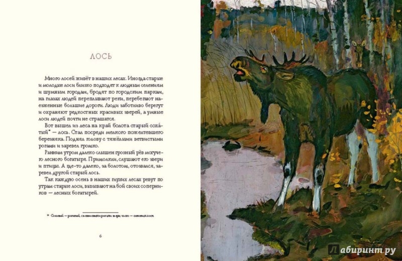 Иллюстрация 4 из 13 для Осень в лесу - Иван Соколов-Микитов | Лабиринт - книги. Источник: Лабиринт