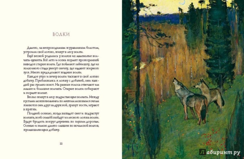 Иллюстрация 6 из 13 для Осень в лесу - Иван Соколов-Микитов | Лабиринт - книги. Источник: Лабиринт