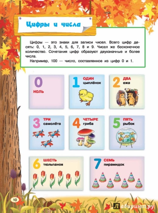 Иллюстрация 2 из 37 для Все правила математики для детей - Мария Фетисова | Лабиринт - книги. Источник: Лабиринт