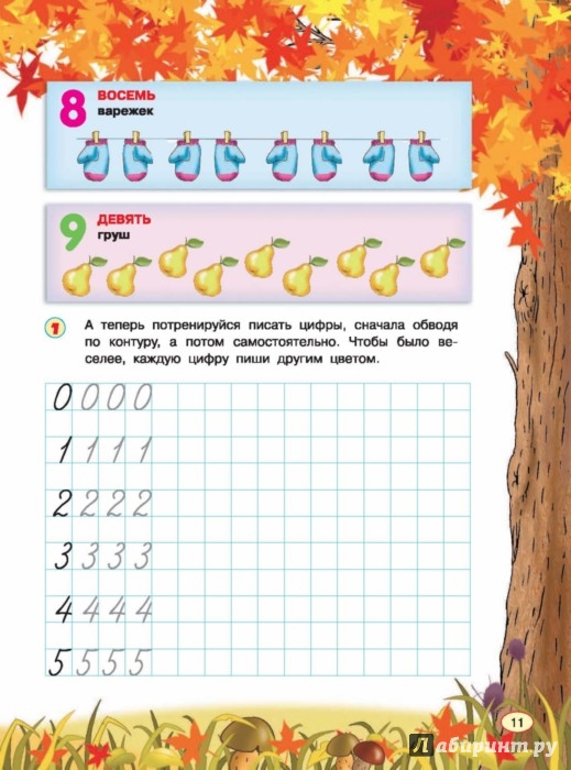 Иллюстрация 3 из 37 для Все правила математики для детей - Мария Фетисова | Лабиринт - книги. Источник: Лабиринт