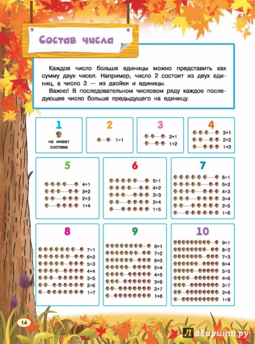 Иллюстрация 6 из 37 для Все правила математики для детей - Мария Фетисова | Лабиринт - книги. Источник: Лабиринт