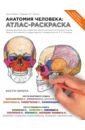 Элсон Лоренс, Кэпит Уинн Анатомия человека. Атлас-раскраска анатомия человека атлас раскраска