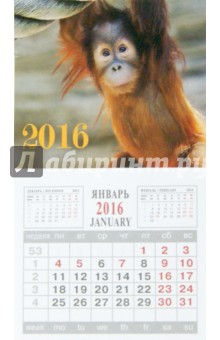 Календарь на 2016 год. СИМВОЛ ГОДА 1 (на магните) (39575-24).