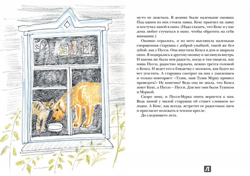 Иллюстрация 4 из 21 для Письма с моей фермы (+ CD) - Маша Слоним | Лабиринт - книги. Источник: Лабиринт
