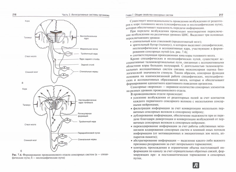 Дегтярев нормальная физиология скачать pdf