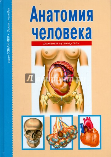 Анатомия человека. Школьный путеводитель