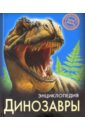 усова ирина в динозавры познавательный набор Астапенко Ирина Динозавры