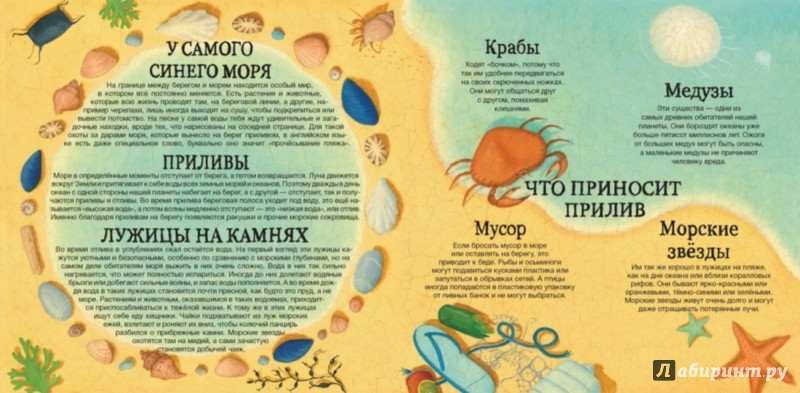 Иллюстрация 5 из 18 для На земле и в океане - Джей, Яснов | Лабиринт - книги. Источник: Лабиринт