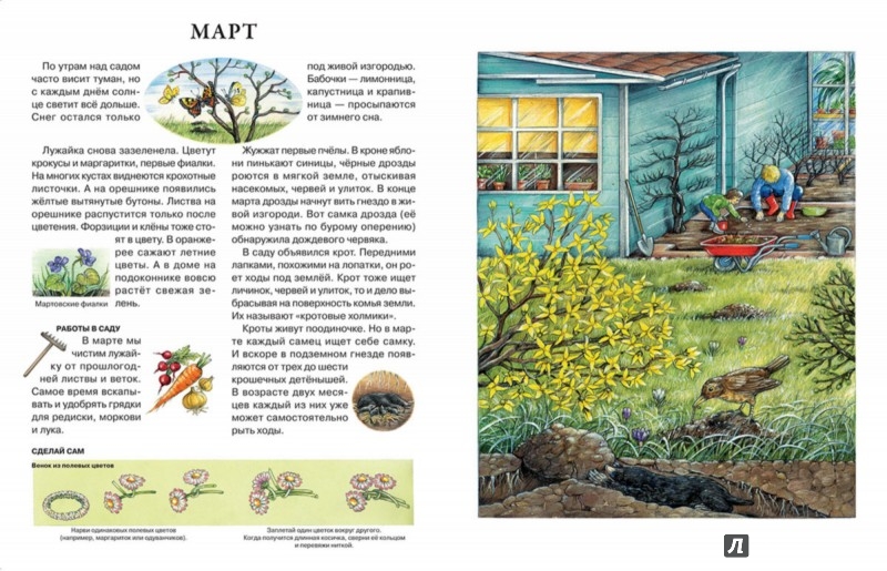 Иллюстрация 2 из 43 для Год в саду - Сюзанна Риха | Лабиринт - книги. Источник: Лабиринт