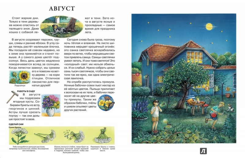 Иллюстрация 4 из 43 для Год в саду - Сюзанна Риха | Лабиринт - книги. Источник: Лабиринт