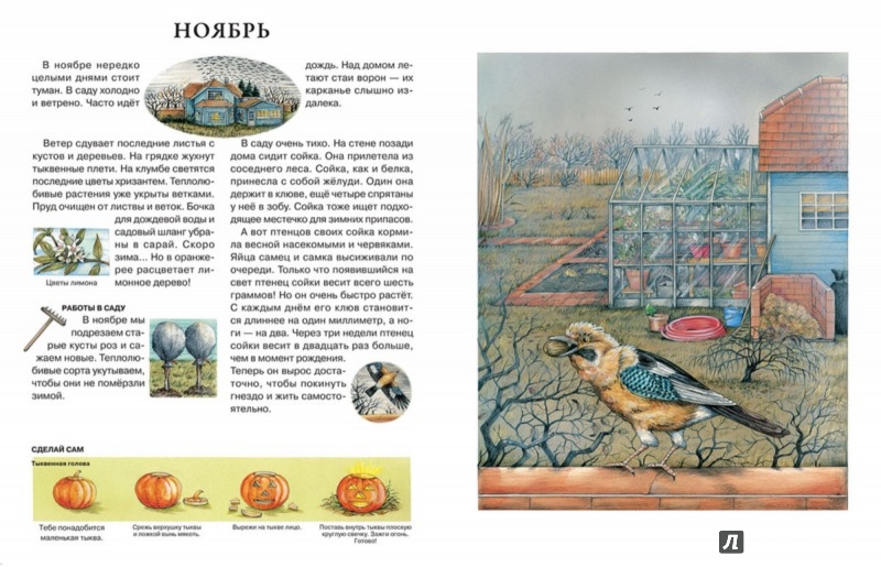 Иллюстрация 5 из 43 для Год в саду - Сюзанна Риха | Лабиринт - книги. Источник: Лабиринт