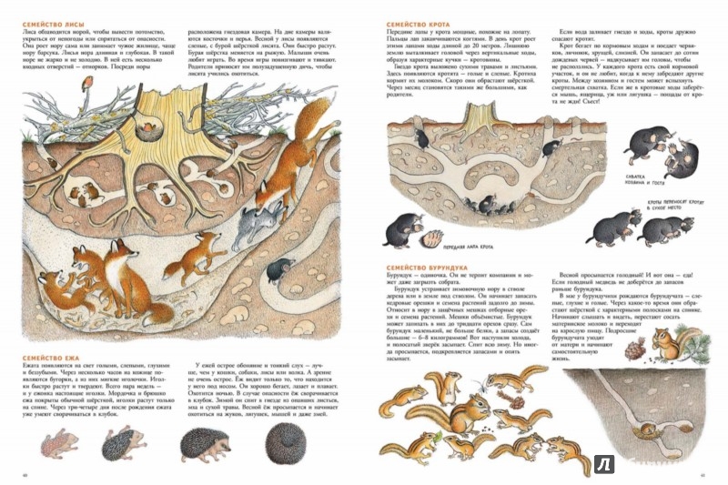 Иллюстрация 2 из 62 для В лесу - Петр Багин | Лабиринт - книги. Источник: Лабиринт