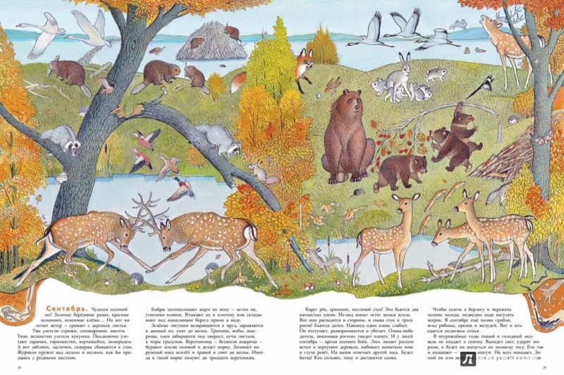 Иллюстрация 3 из 62 для В лесу - Петр Багин | Лабиринт - книги. Источник: Лабиринт