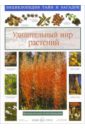 Калашников Виктор Иванович Удивительный мир растений