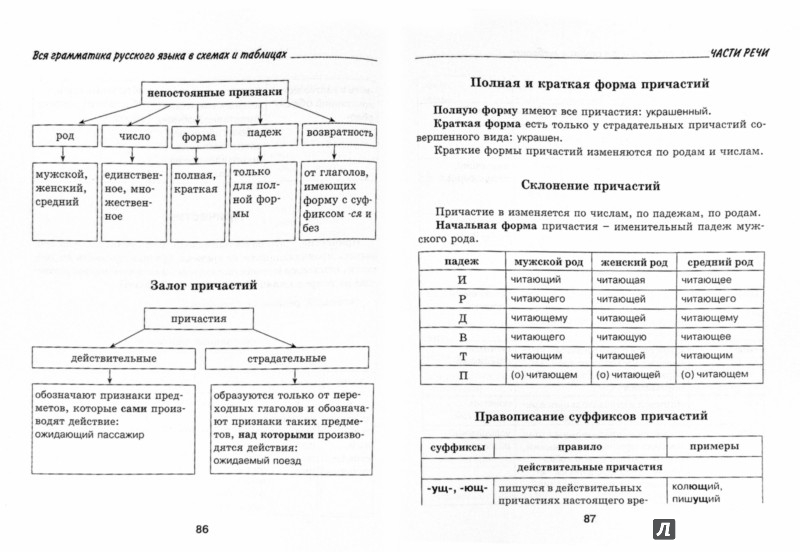 Грамматические языковые. Грамматика русского языка в таблицах.