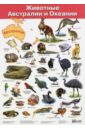 Плакат Животные Австралии и Океании (2858) животные австралии