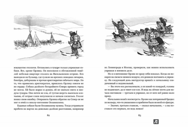 Иллюстрация 4 из 45 для Девичья команда - Заводчиков, Самойлов | Лабиринт - книги. Источник: Лабиринт