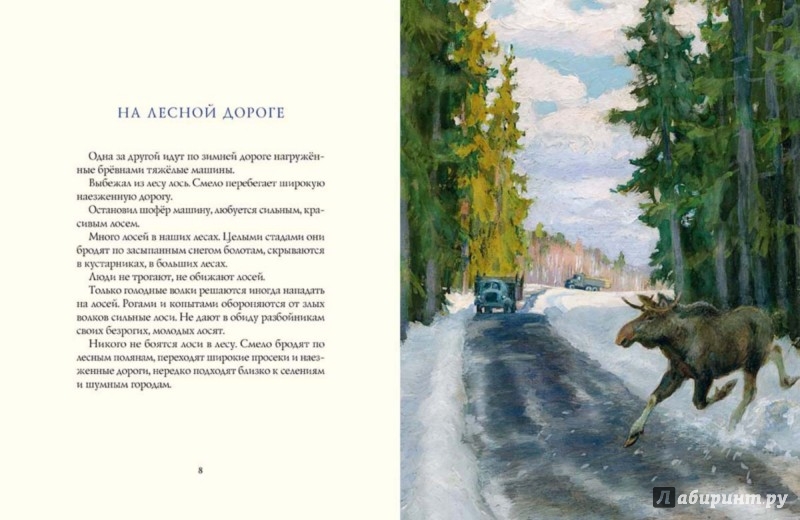 Иллюстрация 3 из 64 для Зима в лесу - Иван Соколов-Микитов | Лабиринт - книги. Источник: Лабиринт