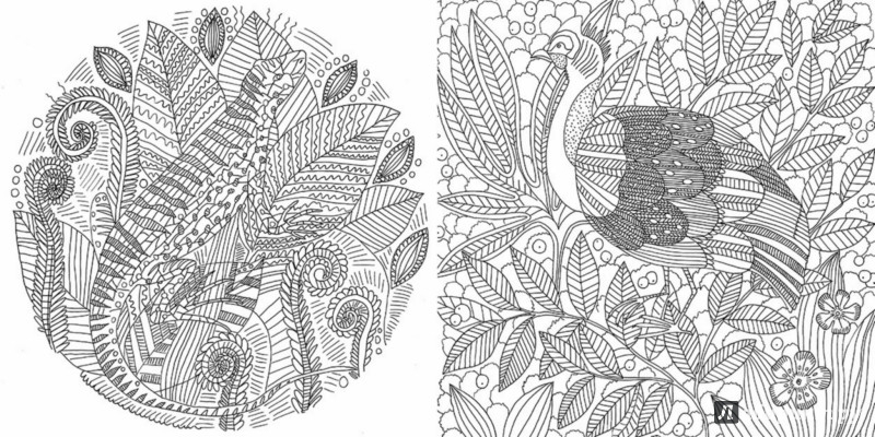Иллюстрация 11 из 43 для Лес-чародей. Раскрась свой мир и добавь жизни цвета | Лабиринт - книги. Источник: Лабиринт