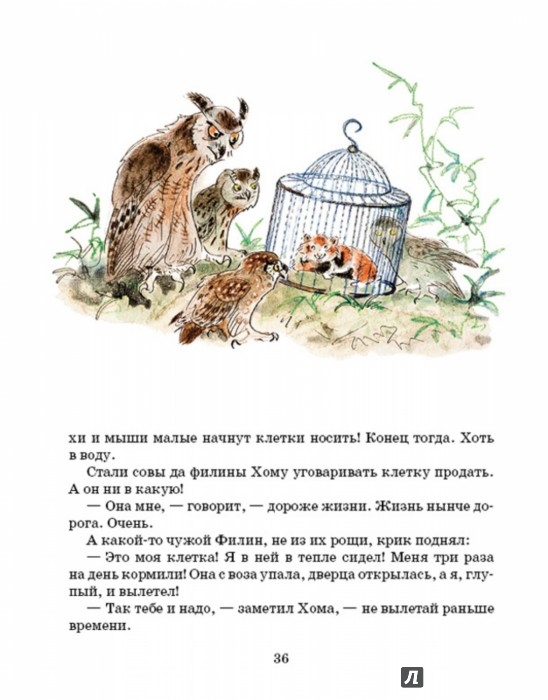 Иллюстрация 2 из 51 для Приключения Хомы - Альберт Иванов | Лабиринт - книги. Источник: Лабиринт