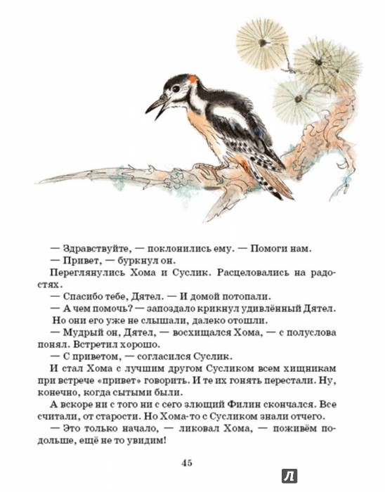 Иллюстрация 5 из 51 для Приключения Хомы - Альберт Иванов | Лабиринт - книги. Источник: Лабиринт
