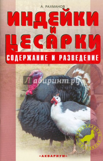 Индейки и цесарки. Содержание и разведение