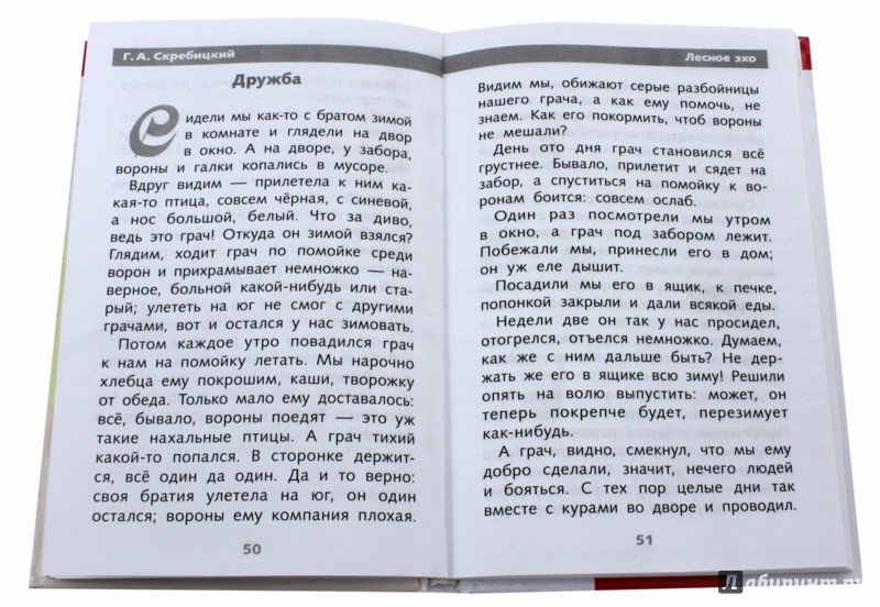 Лесное эхо. Георгий Алексеевич Лесное Эхо. Лесное Эхо книга. Рассказ про Эхо в лесу. Сказка Лесное Эхо.