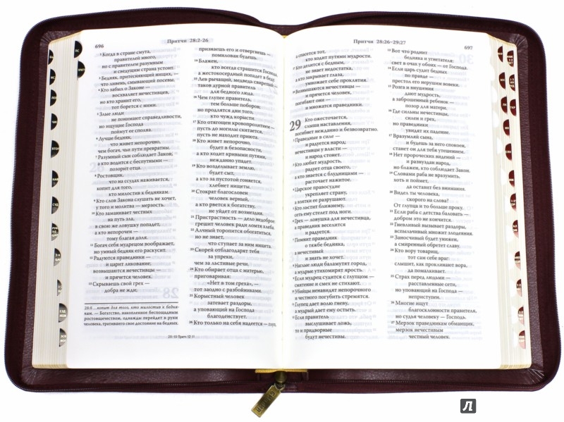 Иллюстрация 1 из 4 для Библия, современный русский перевод | Лабиринт - книги. Источник: Лабиринт