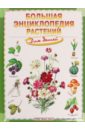 Brewer Duncan, Farndon John Большая энциклопедия растений для детей