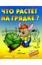 что растет на грядке морковка для мышат лукашкина м Кузьмин Сергей Вильянович Что растет на грядке?