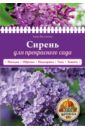 белякова анна владимировна урожайная прививка для вашего сада Белякова Анна Владимировна Сирень для прекрасного сада