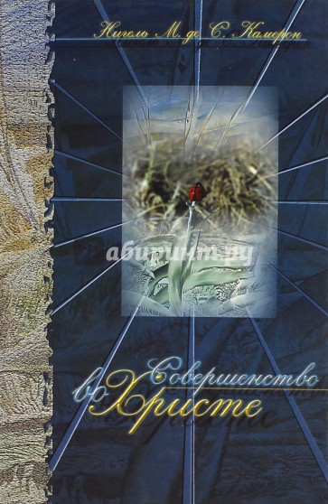 Совершенство во Христе. Как утвердить здоровый реализм