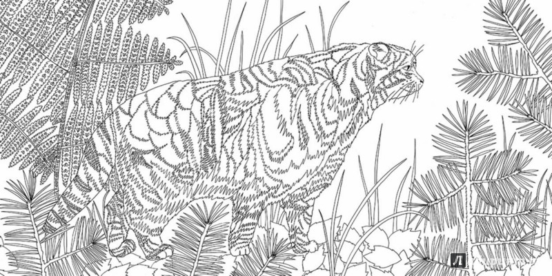 Иллюстрация 8 из 43 для Лес-чародей. Раскрась свой мир и добавь жизни цвета | Лабиринт - книги. Источник: Лабиринт