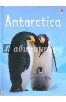 

Antarctica