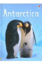 Bowman Lucy Antarctica a brief introduction to psychoanalytic theory