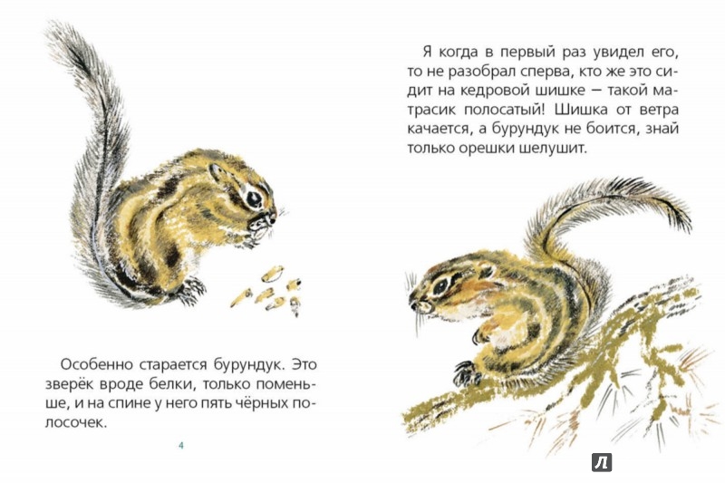 Иллюстрация 2 из 42 для Хитрый бурундук - Геннадий Снегирев | Лабиринт - книги. Источник: Лабиринт