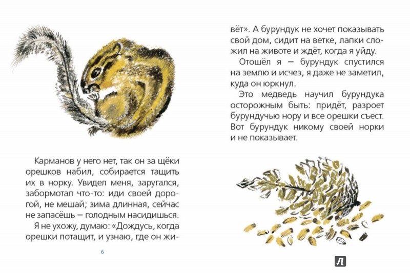 Иллюстрация 3 из 42 для Хитрый бурундук - Геннадий Снегирев | Лабиринт - книги. Источник: Лабиринт