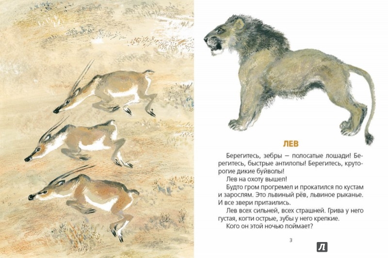 Иллюстрация 1 из 52 для Животные жарких и холодных стран - Евгений Чарушин | Лабиринт - книги. Источник: Лабиринт