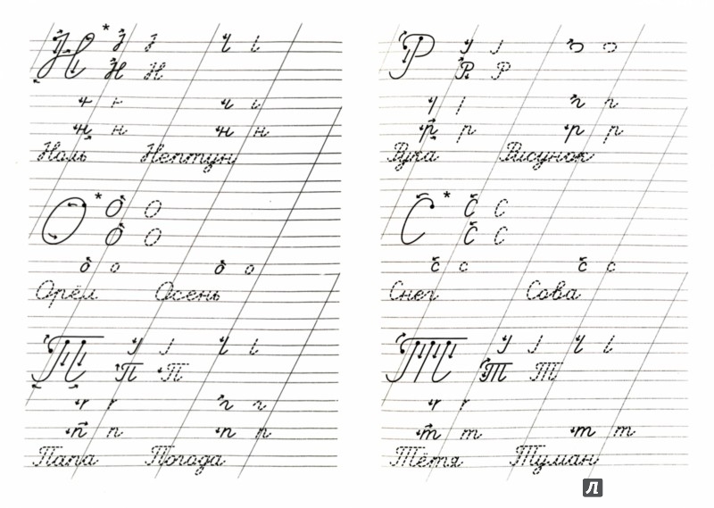 Пропись Для Красивого Почерка Скачать