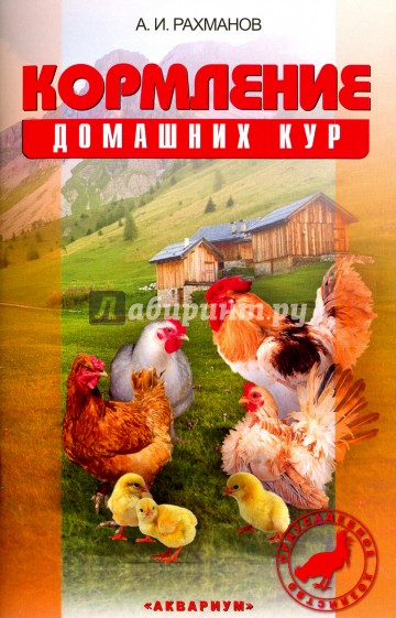 Кормление домашних кур