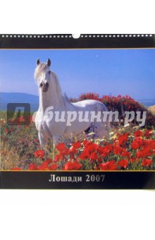 Календарь: Лошади 2007 год.