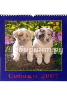 Календарь: Собаки 2007 год.